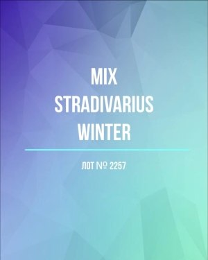 Купить STRADIVARIUS Winter mix#15 кг, ЛОТ №2257 оптом в Рязани и Рязанской области