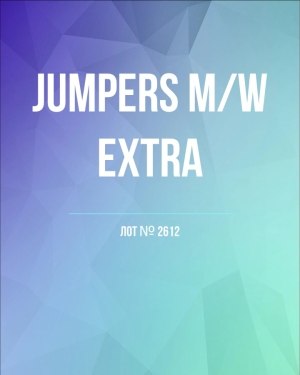 Купить Джемпер муж+жен экстра#15 кг , Лот№2612 оптом в Рязани и Рязанской области