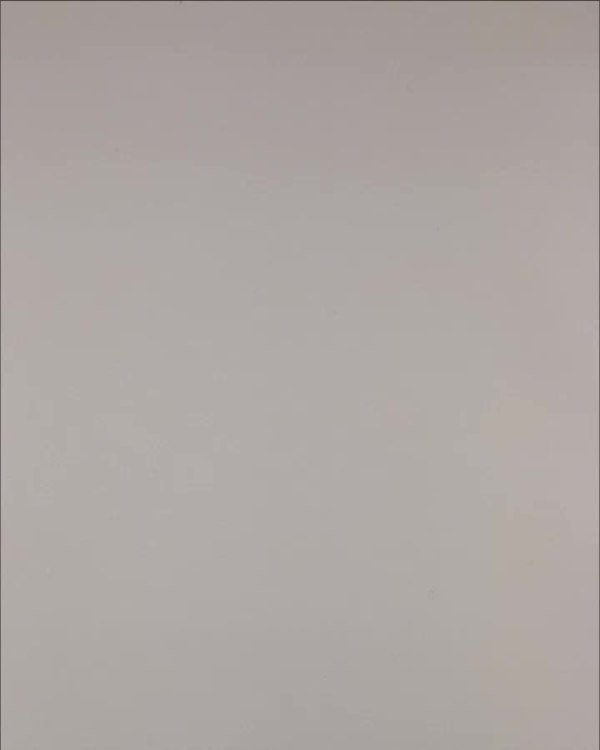 Фотография  742 - Нижнее белье Bon Prix дети#50 шт, ЛОТ №3242 оптом в Рязани и Рязанской области