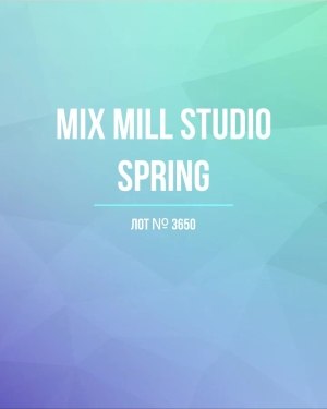 Купить MILL STUDIO Spring mix#15 кг, ЛОТ №3650 оптом в Рязани и Рязанской области