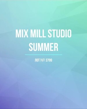 Купить MILL STUDIO Summer mix#15 кг, ЛОТ №3799 оптом в Рязани и Рязанской области