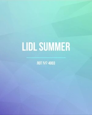 Купить LIDL Summer#20 кг, ЛОТ №4003 оптом в Рязани и Рязанской области