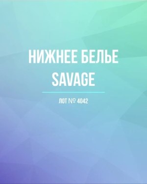 Купить Нижнее белье Savage, 50 шт, ЛОТ №4042 оптом в Рязани и Рязанской области