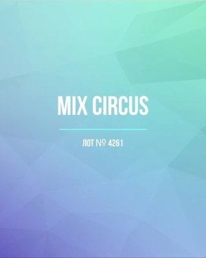 Купить CIRCUS mix #13 кг, ЛОТ №4261 оптом в Рязани и Рязанской области