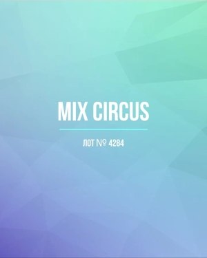 Купить CIRCUS mix #11,8 кг, ЛОТ №4284 оптом в Рязани и Рязанской области