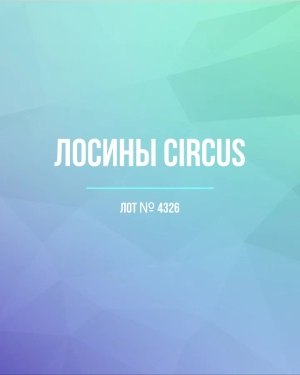 Купить Лосины CIRCUS #6,2 кг, ЛОТ №4326 оптом в Рязани и Рязанской области