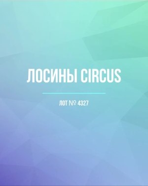 Купить Лосины CIRCUS #6,2 кг, ЛОТ №4327 оптом в Рязани и Рязанской области