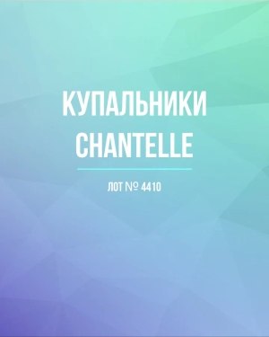 Купить Купальники Chantelle#30 шт, ЛОТ №4410 оптом в Рязани и Рязанской области