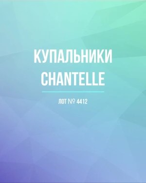 Купить Купальники Chantelle#23 шт, ЛОТ №4412 оптом в Рязани и Рязанской области