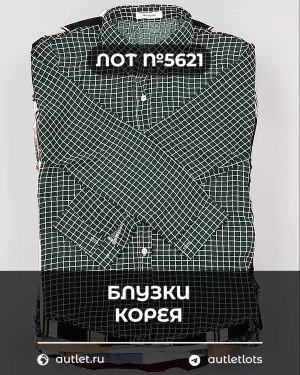 Купить Блузки Корея#20 шт, ЛОТ №5621 оптом в Рязани и Рязанской области