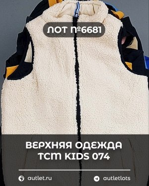 Купить Верхняя одежда TCM kids 074#7 кг, ЛОТ №6681 оптом в Рязани и Рязанской области