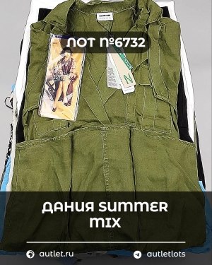 Купить ДАНИЯ Summer mix 24#15 кг, ЛОТ №6732 оптом в Рязани и Рязанской области