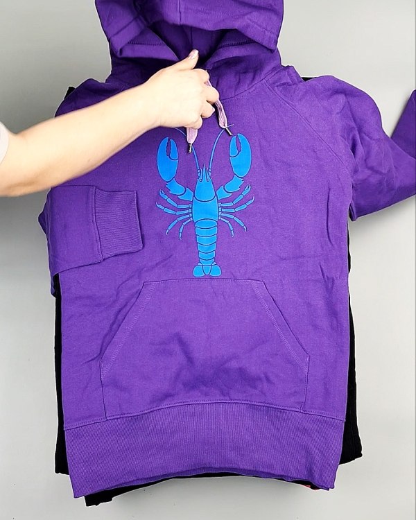 Фотография  654 - Толстовки м/ж (Sweat Tops)#20 кг, ЛОТ №7431 оптом в Рязани и Рязанской области