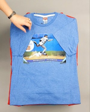 Фотография  718 - HOMAGE CAN 084#10 кг, ЛОТ №7499 оптом в Рязани и Рязанской области