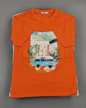 Купить Футболки мужские C-3141 (MEN T-shirt Sorbino) #4,8 кг оптом в Рязани и Рязанской области