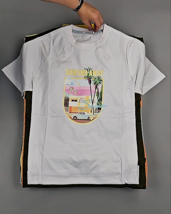 Фотография  745 - Футболки мужские C-3141 (MEN T-shirt Sorbino) #4,8 кг, ЛОТ №8835 оптом в Рязани и Рязанской области